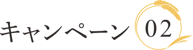 キャンペーン02